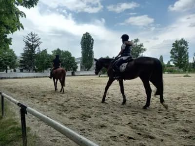 Конно спортна база Хан Аспарух