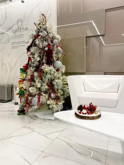 Aesthe Clinic