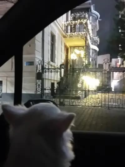 Каолин