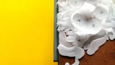 Метта, солна стая и флотация