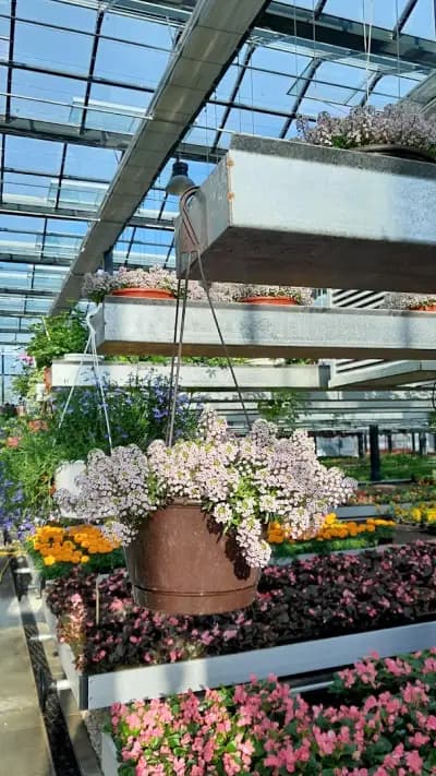 ФЛОРА ДИЗАЙН