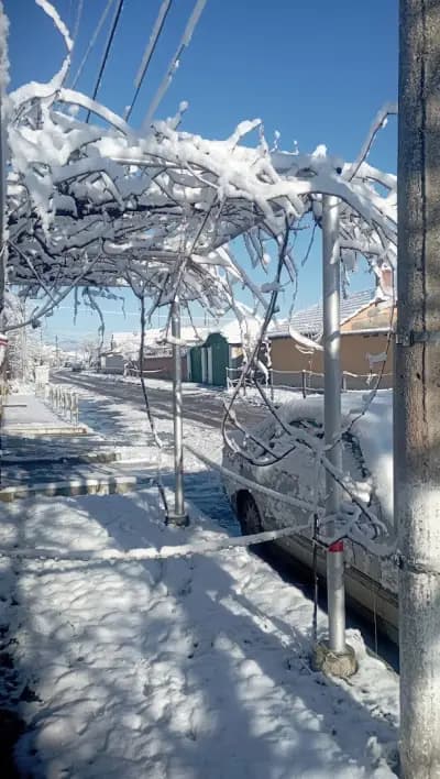 Общински Пазар Калояново