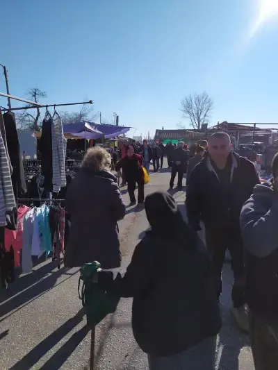 Общински Пазар Калояново