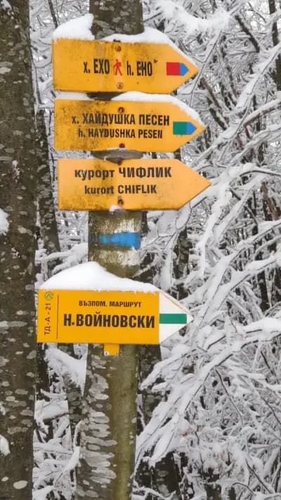 Проход „Богоя“