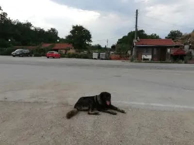 Проход „Богоя“