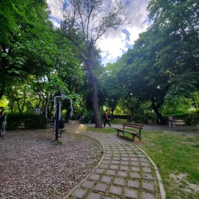 Парк Чайка