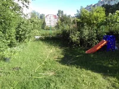 Мечето