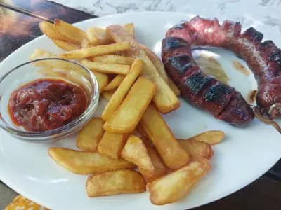 Ропотамо