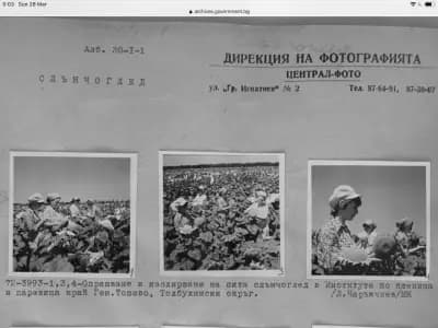 Добруджански земеделски институт