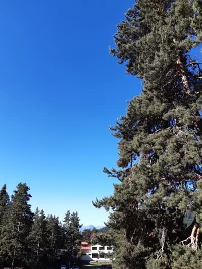 Учебно оздравителна база "Семково" (към УАСГ)