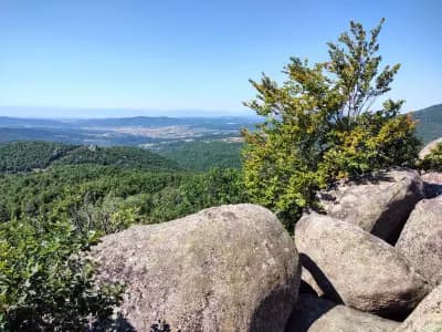 Екофест Парк Кулата