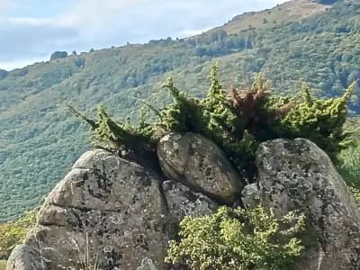 Екофест Парк Кулата