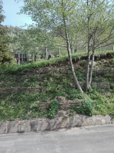ДЪРЖАВНО ЛОВНО СТОПАНСТВО - ИЗВОРА
