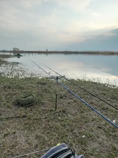 Рибарник НАСЛУКА