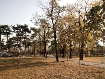 Парк „Здраве“