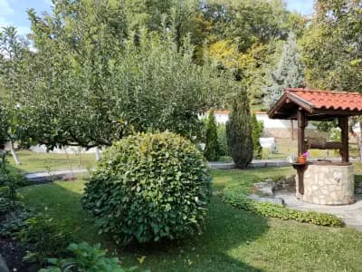 Преподобна Стойна