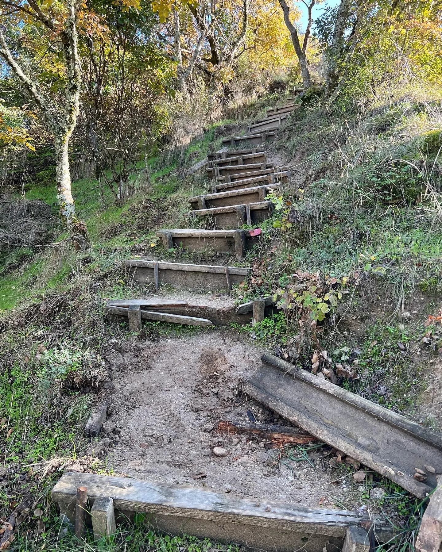 Света Богородица Спилеотиса