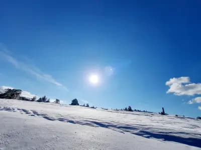 Хижа ”Бузлуджа Нова”