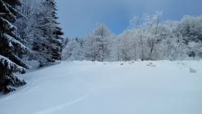 Хижа ”Бузлуджа Нова”