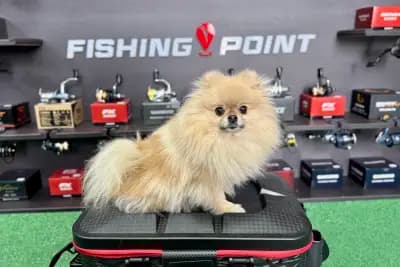 Fishing Point | Риболовен магазин