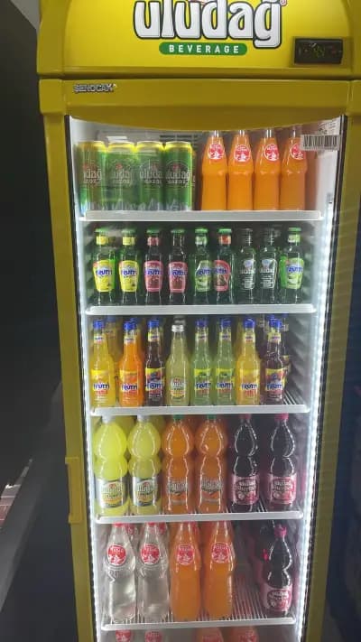 Mega Gross Turkish market