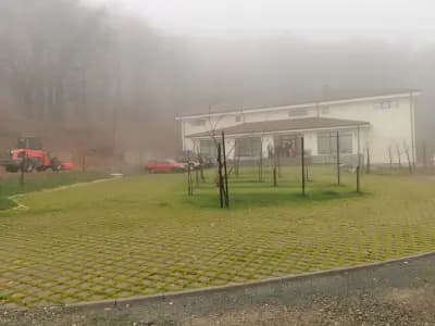 Орлово гнездо