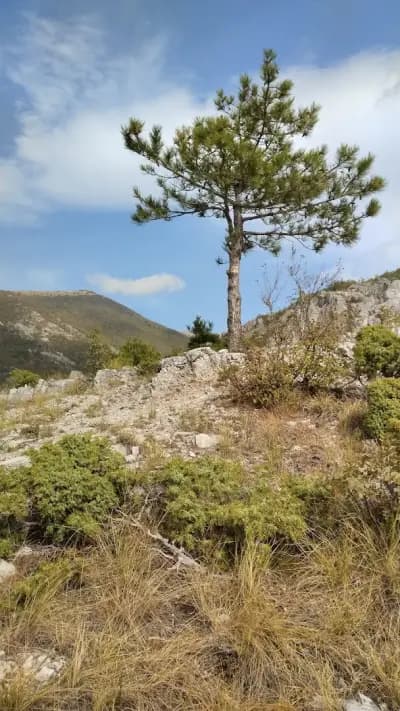 Скално образувание Котката