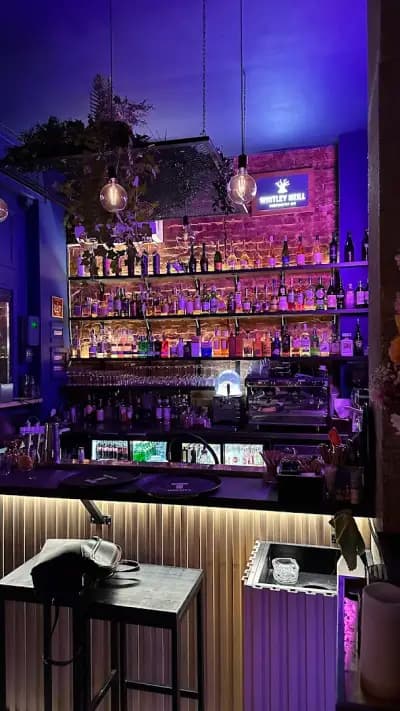Raya's bar plovdiv