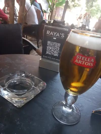 Raya's bar plovdiv