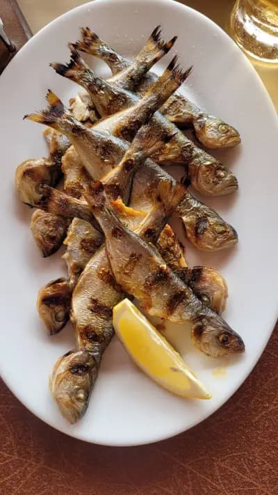 Тихия залив