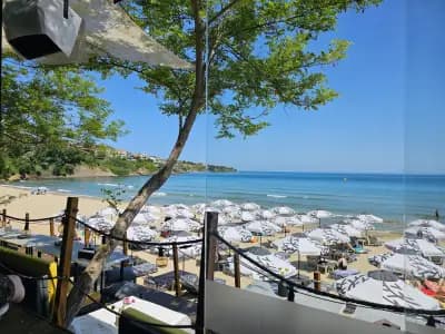Olive Beach Bistro