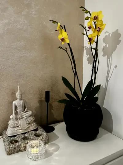 Arawana Sofia Thai massage