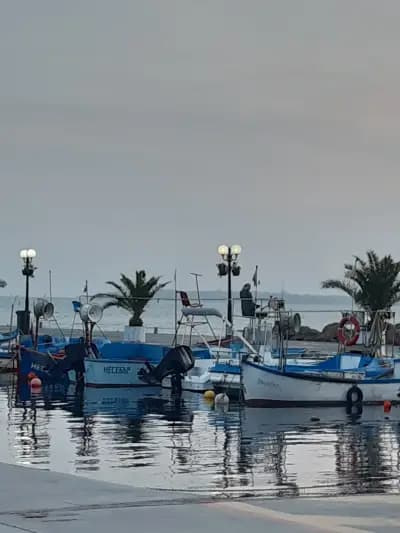 ВЕНИС МАРИНА ЕООД