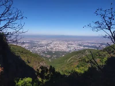 Vitosha ski