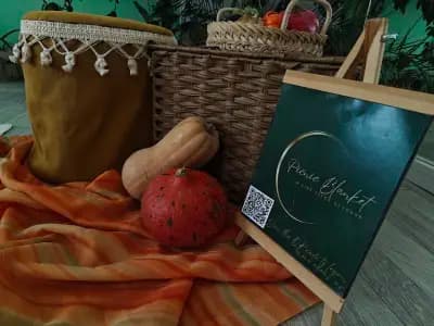 Picnic Blanket AV