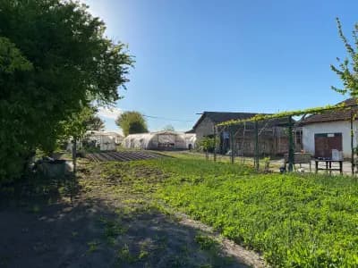 Храна от село