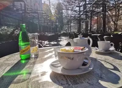 Виенски салон