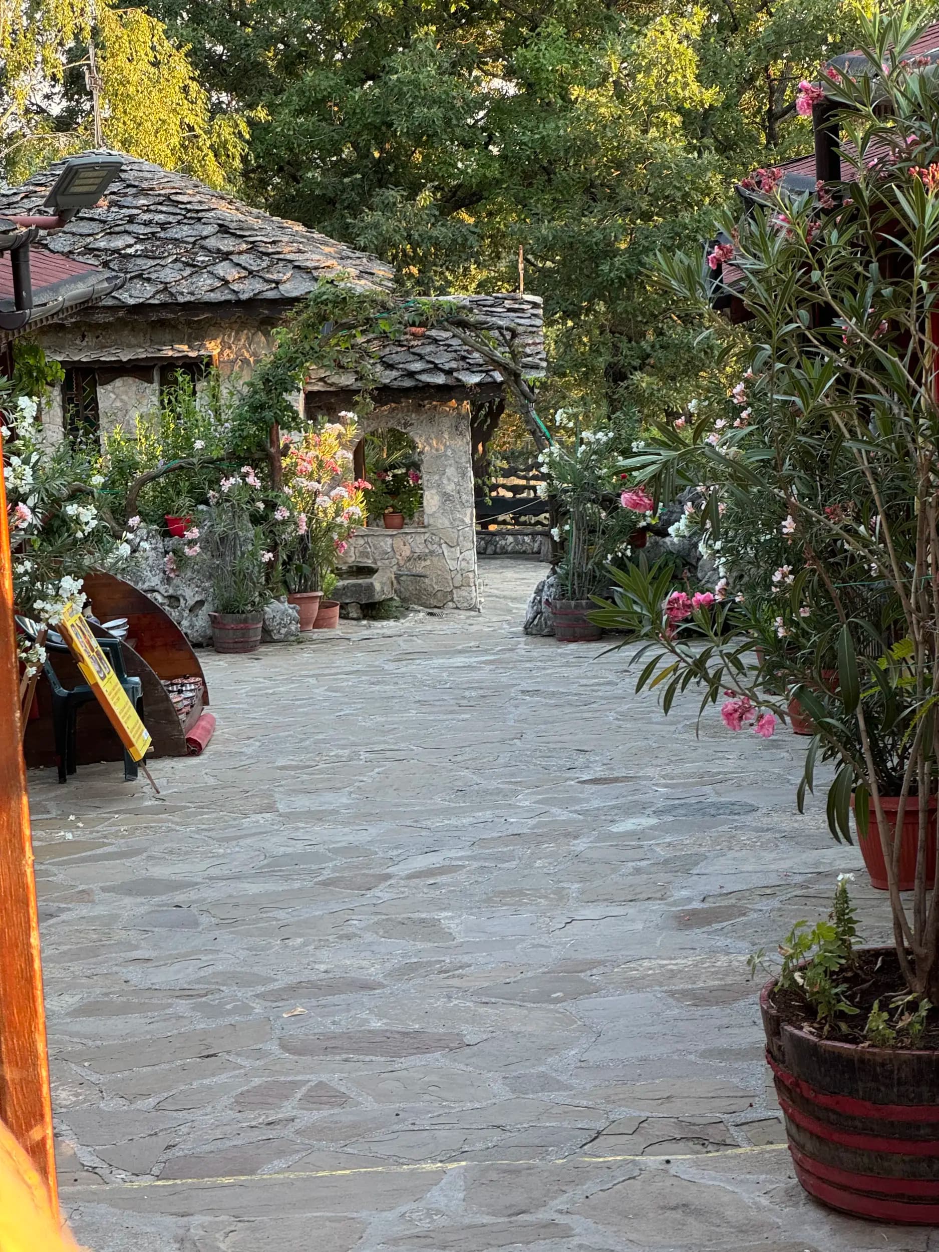 Планинска Къща