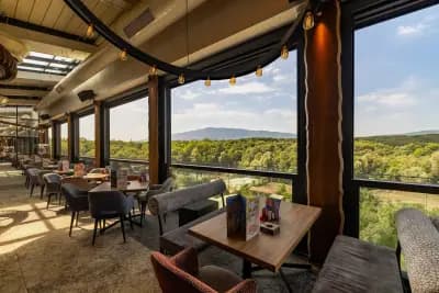 Happy Bar & Grill Lyulin