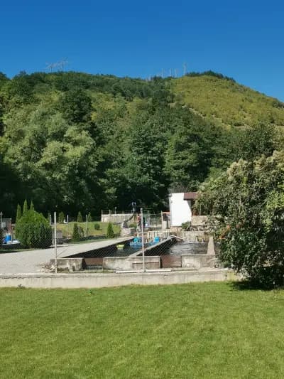 Лятна градина "Голд фиш"