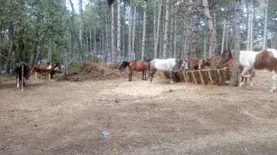 Зона Кракен