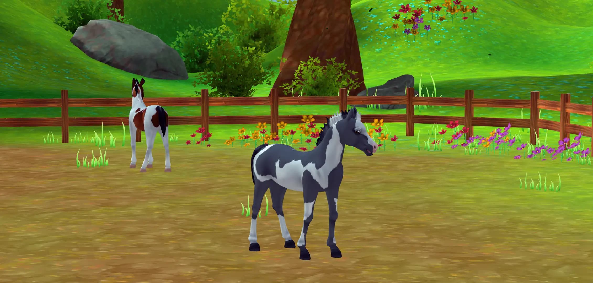 Конна база „Тара“