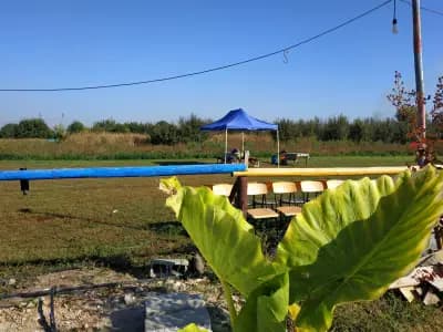 Конна база „Тара“