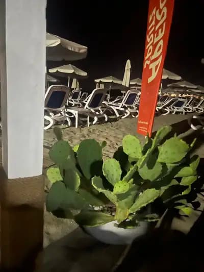Black Mamba Beach Bar