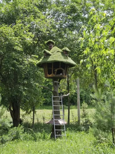 Каменните къщи