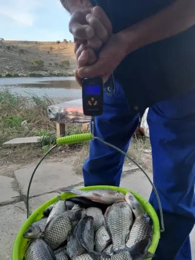 Язовир Тервел