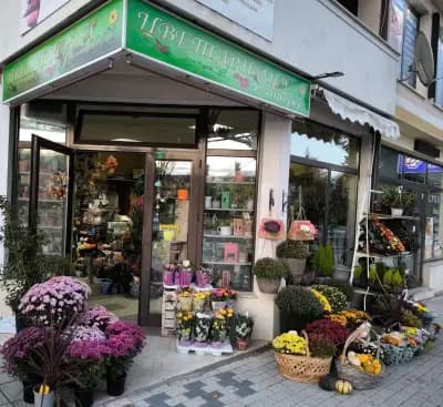 Цветарница Интерес