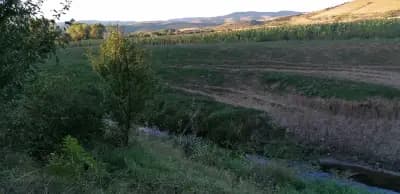 Храм „Свети Димитър“