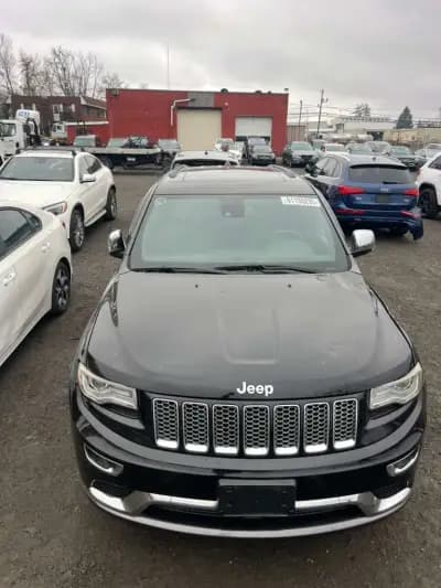 Bibi Cars
