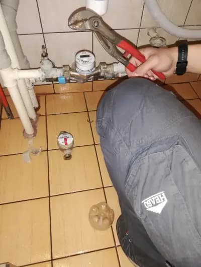 Нелбо АД гр. Плевен